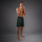 Шорти - Venum Matupa Fightshorts - Black/Green/Gold​